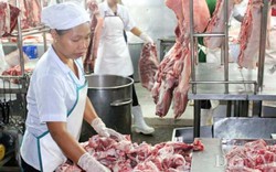 Bộ NNPTNT: Giá lợn tăng do Trung Quốc nhập hàng trở lại
