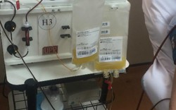 Sốt xuất huyết bùng phát, bệnh viện kêu gọi hiến tiểu cầu