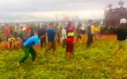 Kon Tum chính thức thông tin về vụ 300 người dân xung đột đòi đất