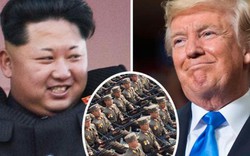 Triều Tiên ra tối hậu thư đòi Trump quỳ gối xin lỗi Kim Jong-un