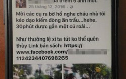 Thông tin mới nhất về vụ "cháu bé chơi đàn trên phố đi bộ Hà Nội"