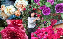 Trăm loài hoa quý hiếm ở "thiên đường mặt đất" của mẹ Việt trời Tây