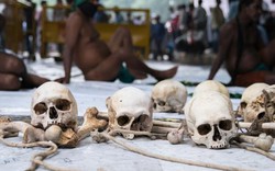 Biến đổi khí hậu khiến 60.000 nông dân Ấn Độ tự sát