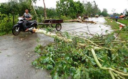 Tháng 8, Việt Nam phải hứng chịu bao nhiêu cơn bão?