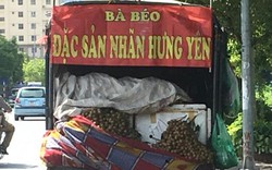 Thực hư “nhãn lồng Hưng Yên xịn” giá siêu rẻ tràn đường phố Hà Nội