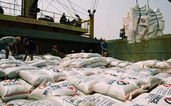 Trung Quốc ra quy định mới, gạo nếp Việt Nam lại "mướt mồ hôi"