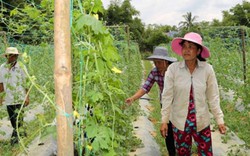 Người Khmer đổi đời nhờ xây dựng nông thôn mới