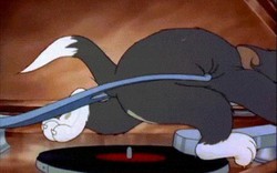 Tom và Jerry: Bị cướp bạn gái