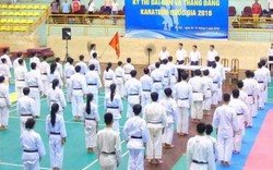 200 võ sinh quần tụ tranh đai đen Karatedo