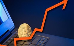 Sau giảm sâu, đồng bitcoin lại đạt kỷ lục mới về giá trị