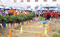 "Thi Nhà nông đua tài, vui hết cỡ lại học nhiều điều hay"