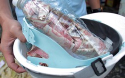 Nhân viên trạm thu phí phải dùng dao cắt chai nhựa để lấy tiền lẻ