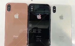 iPhone 8 sẽ có thêm tùy chọn màu vàng đồng mới