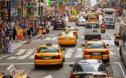 Vì sao taxi vàng "thống trị" New York?