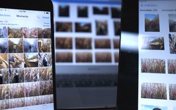 Phục hồi hình ảnh, video tưởng chừng đã mất trên iPhone