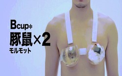 Quảng cáo nội y vô duyên, đo vòng 1 bằng thú, bị cấm tại Nhật