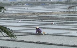 Quảng Ngãi: Vựa muối Sa Huỳnh điêu đứng vì mưa dông lớn bất thường