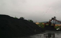 Quảng Ninh: Phát hiện “công trường” than bên trong nhà máy gạch