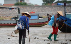 Quảng Ninh: Bí thư chỉ đạo, vẫn ngang nhiên tận diệt thủy sản