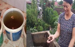Ninh Bình: Hoang mang vì nước sạch toàn hến chết, bốc mùi hôi tanh