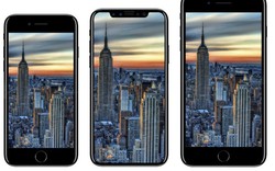 Bộ ba iPhone 7, iPhone 7s và iPhone 8 có gì khác nhau?