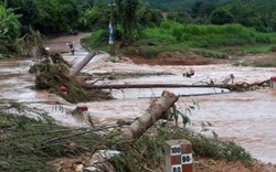 Chủ tịch Quảng Ninh phê bình Văn phòng Ban Chỉ huy PCTT&TKCN tỉnh