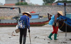 Quảng Ninh ra quân tổng lực "tấn công" nạn tận diệt thủy sản