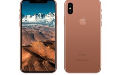 iPhone 8 sẽ có tùy chọn màu Vàng Blush