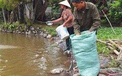 Cựu chiến binh hạng 3/4 “đánh bại” đói nghèo