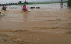 Lòng chảo Điện Biên ngập nặng, nước sông Nậm Rốm dâng cao