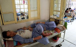 Số ca mắc sốt xuất huyết ở Hà Nội tăng hơn 3.000%