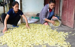 Cả làng nuôi tằm làm thức ăn, không trồng dâu lại có tiền rủng rỉnh