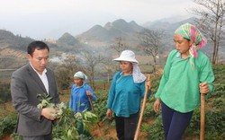 Bản Mông Lào Cai đón những người con đi học rồi trở về giúp dân bản