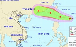 Bão Hato giật cấp 10 sắp đổ bộ Biển Đông