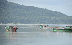 Quảng Ninh: Thủy, hải sản vẫn ngang nhiên bị tận diệt