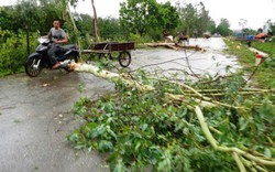 VN còn hứng chịu bao nhiêu cơn bão từ nay đến cuối năm 2017?