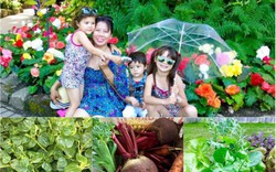 Mẹ Việt trồng "rừng" rau, quả hơn 100 loại ở nơi có thời tiết khắc nghiệt
