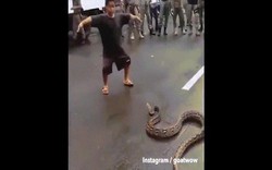 Bé trai Indonesia đem mạng sống ra giỡn trước mõm rắn khổng lồ