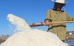 Diêm dân Nghệ An đua nhau "cướp nắng" với trời, làm muối xuất khẩu
