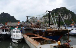 Quảng Ninh: Nhiều nơi có thể bị ảnh hưởng nguy hiểm do bão số 6