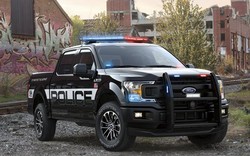Ford F-150 Police Responder: Bán tải cho cảnh sát