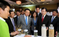 Việt Nam sẵn sàng phối hợp cùng APEC bảo đảm an ninh lương thực