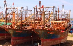 Công ty Đại Nguyên Dương dọa kiện Bộ NNPTNT và 5 ngư dân vụ tàu 67