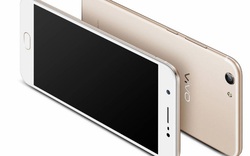 Vivo Y69 - Smartphone giá rẻ, cấu hình ngon