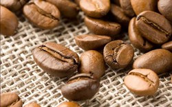 Giá nông sản hôm nay 28.9: Giá cà phê tăng gần 30%, tiêu "thất thủ"