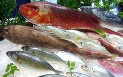 Nhà giàu Trung Quốc-khách hàng "béo bở" của giới buôn tôm, cá Việt