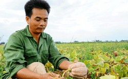 “Làn gió” đuổi nghèo qua, Đắc Lua "vươn mình" đón sức sống mới