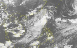 Dự báo thời tiết hôm nay (1.9): Áp thấp nhiệt đới trên biển Đông có khả năng mạnh lên thành bão