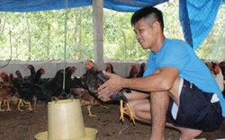 Chàng cựu quân nhân nhờ nuôi gà mà cưới được cô sinh viên