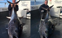 Anh: Câu được cá ngừ “khủng” kỉ lục, nặng 2 tạ dài 2m